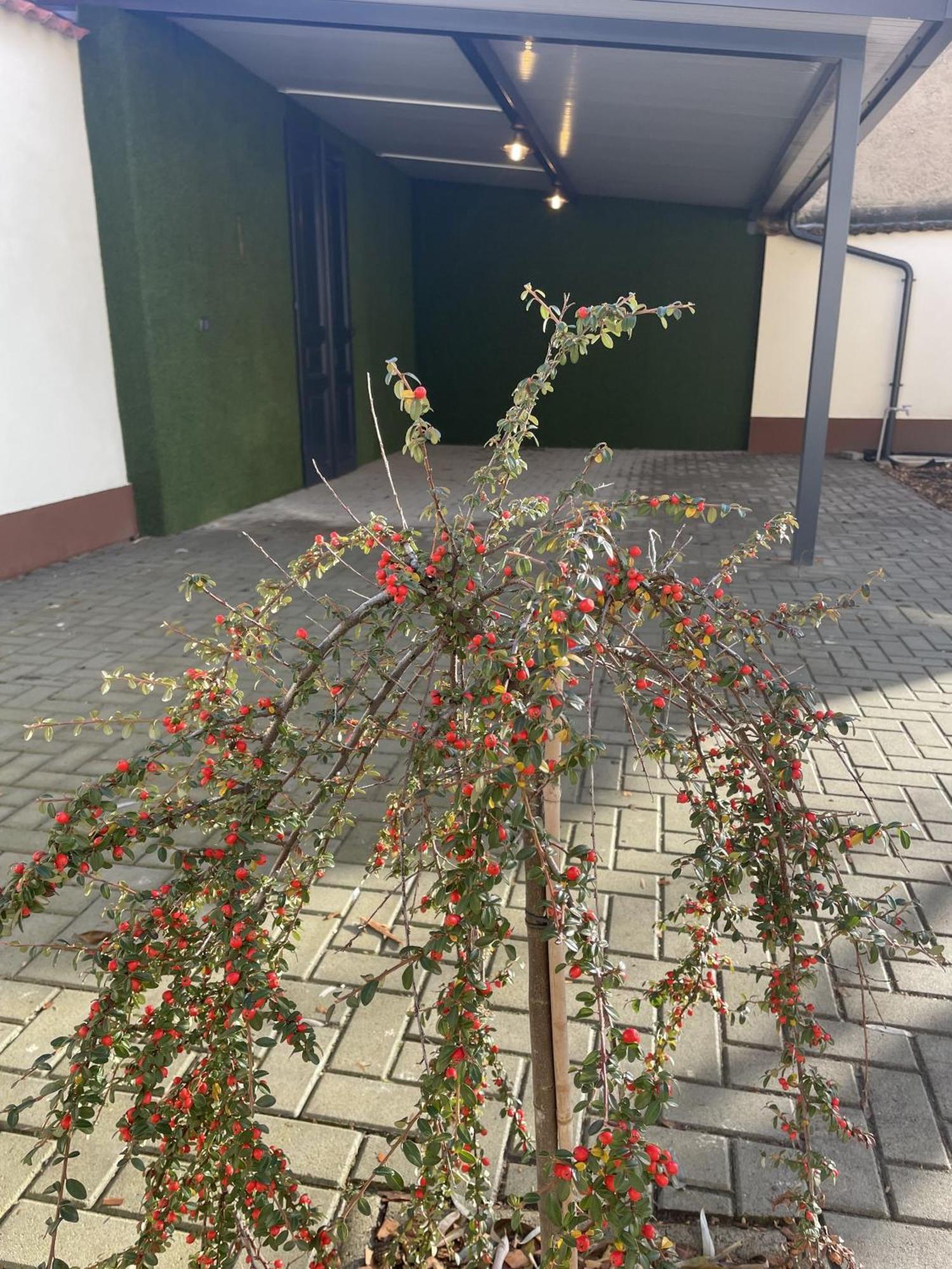 Casa Rosa Apartmanok Егер Екстериор снимка